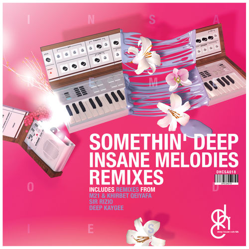 Somethin' Deep - Insane Melodies (Remixes) / Deep House Cats SA