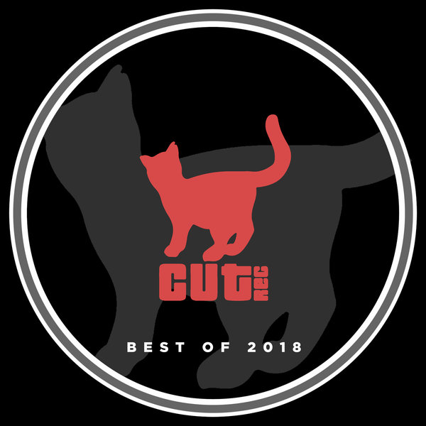 VA - The Best Of 2018 / Cut Rec Promos
