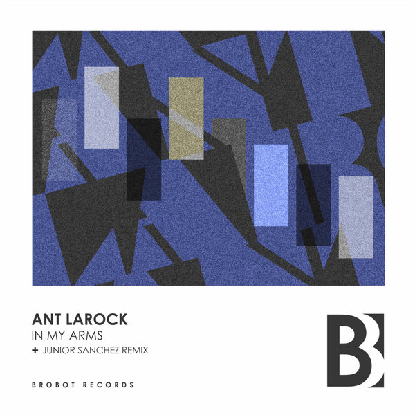 ANT LaROCK - In My Arms / Brobot Records