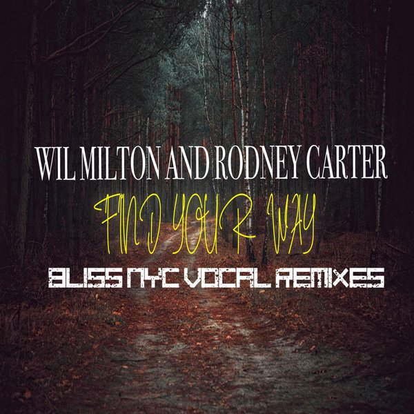 Wil Milton & Rodney Carter - Find Your Way (Bliss NYC Vocal Remixes) / Blak Ink Music Group