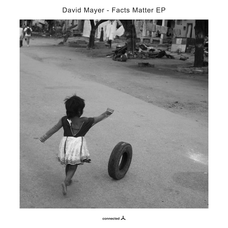 David Mayer - Facts Matter / Connected