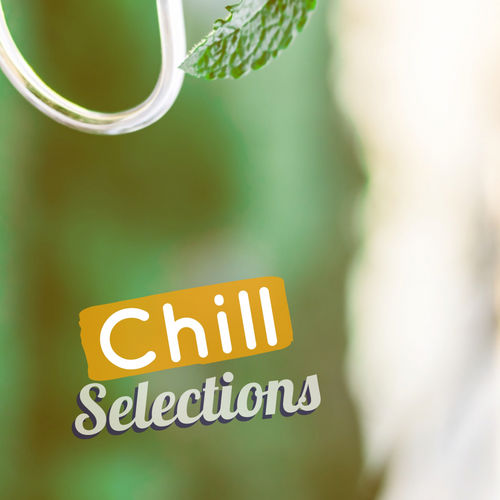 VA - Chill Selections / MCT Luxury