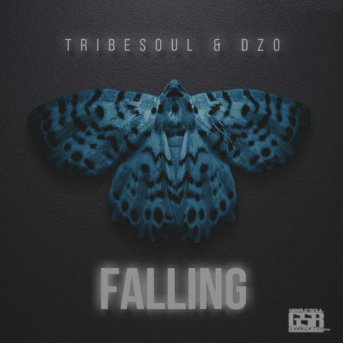 Tribesoul & DzO - Falling / Gentle Soul Records