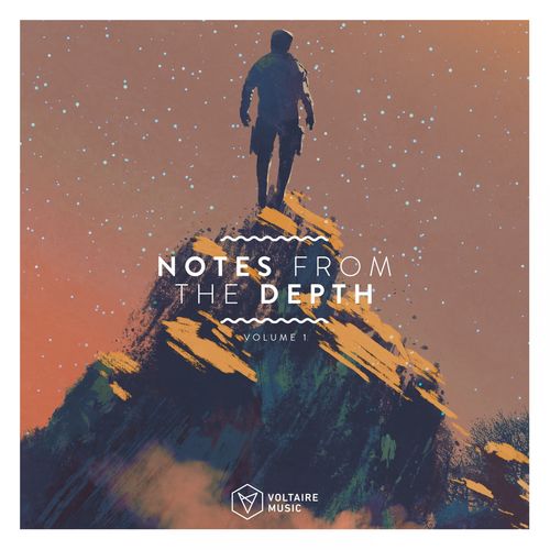 VA - Notes From The Depth, Vol. 1 / Voltaire Music
