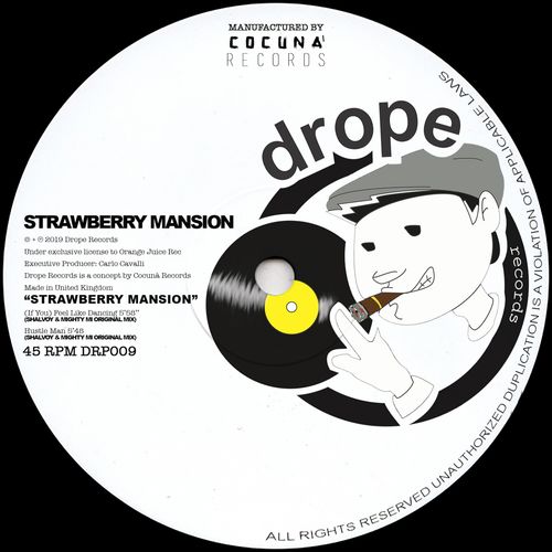 Strawberry Mansion - Strawberry Mansion / Drope Records LTD