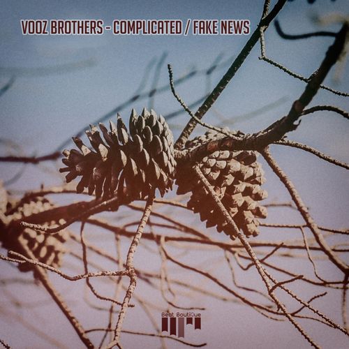 Vooz Brothers - Complicated / Fake / Beat Boutique