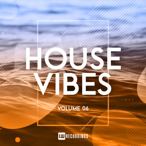 VA - House Vibes, Vol. 06 / LW Recordings