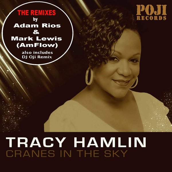 Tracy Hamlin - Cranes In The Sky Remixes / POJI Records