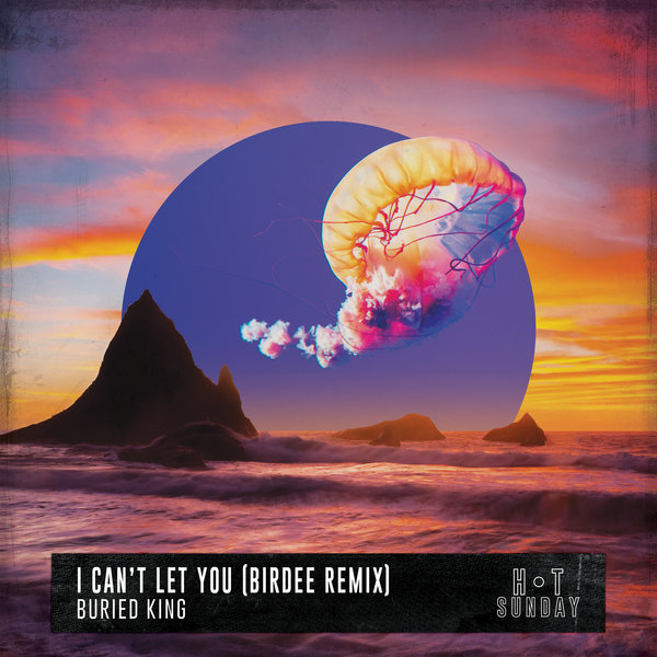 Buried King - I Can't Let You (Birdee Remix) / Hot Sunday Records