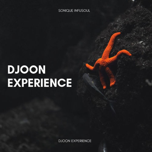 Sonique Infusoul - Djoon Experience / Dreamin' Out Loud