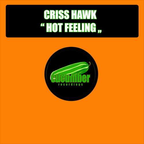 Criss Hawk - Hot Feeling / Cucumber Recordings