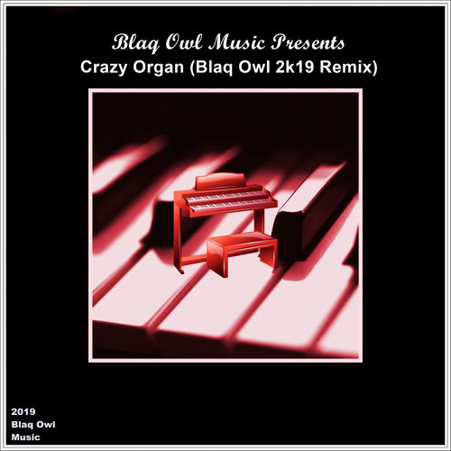 Blaq Owl - Crazy Organ (2k19 Remix) / Blaq Owl Music