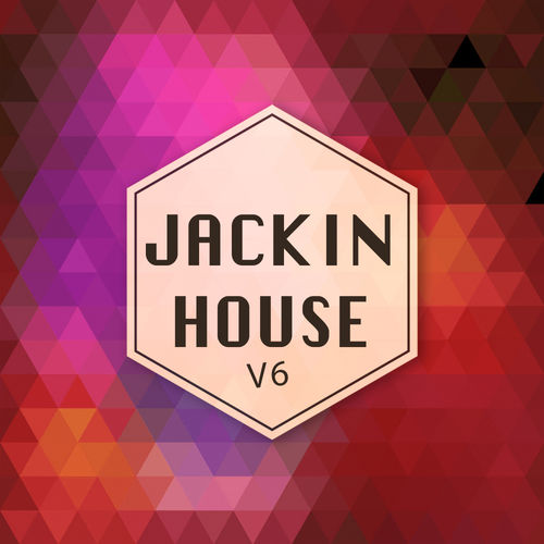 VA - Jackin House V6 / Exhilarated Recordings