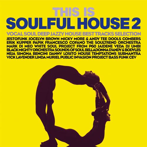 VA - This Is Soulful House, Vol. 2 / Irma Dancefloor