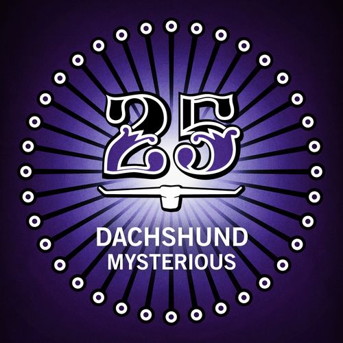 Dachshund - Mysterious / Bar 25 Music