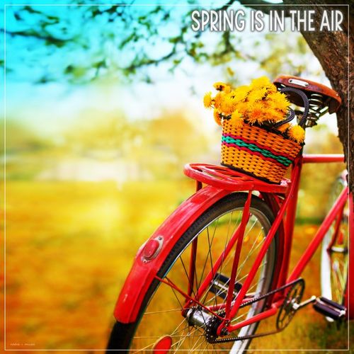 VA - Spring Is in the Air / Nidra Music