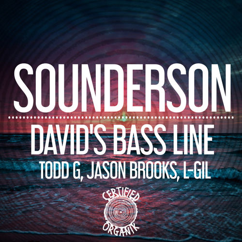Sounderson - David's Bassline / Certified Organik Records