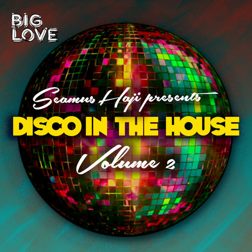 VA - Seamus Haji Presents Disco In The House, Vol. 2 / Big Love