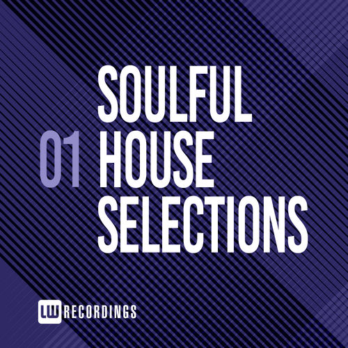 VA - Soulful House Selections, Vol. 01 / LW Recordings