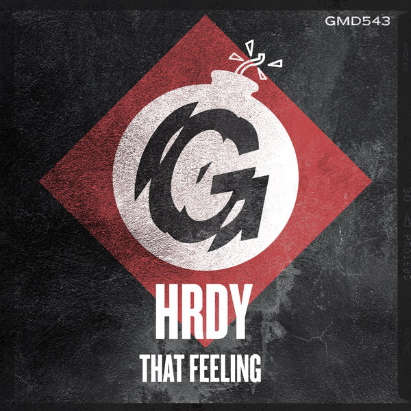 HRDY - That Feeling / Guesthouse