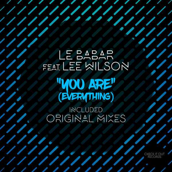 Le Babar ft Lee Wilson - You Are (Everything) / Check It Out Records