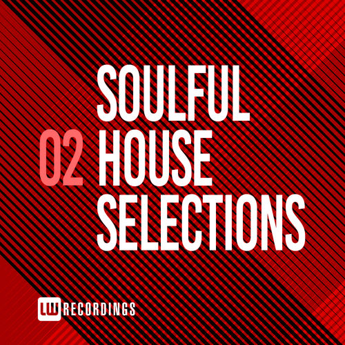 VA - Soulful House Selections, Vol. 02 / LW Recordings