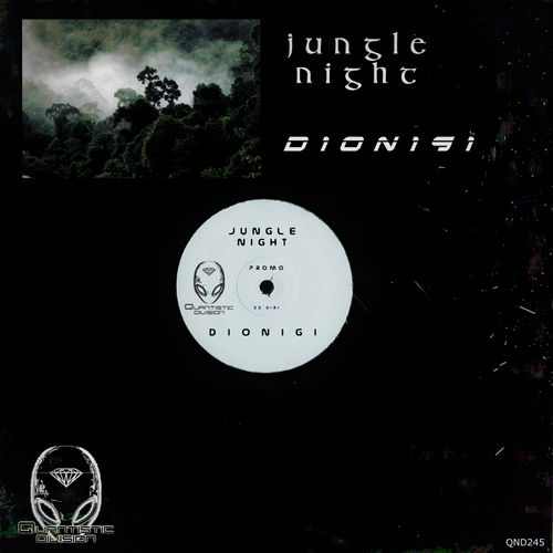 Dionigi - Jungle Night / Quantistic Division