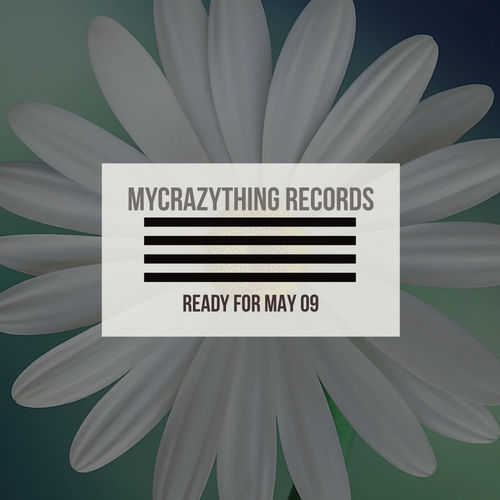 VA - Ready For May 09 / Mycrazything Records