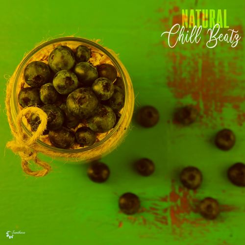 VA - Natural Chill Beatz / Suntheca Music
