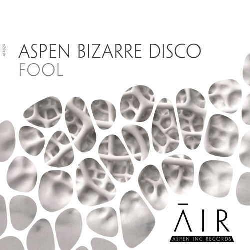 aspen bizarre disco - Fool / Aspen Inc Records