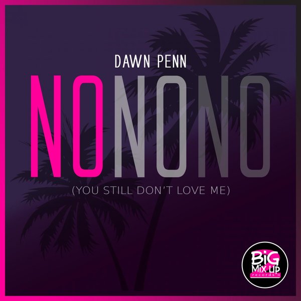 Dawn Penn, Toni Toolz - No No No (You Still Don't Love Me) / Big Mix Up Records 2