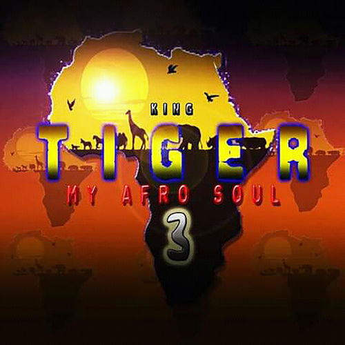 Tiger - My Afro Soul 3 / Punch Records