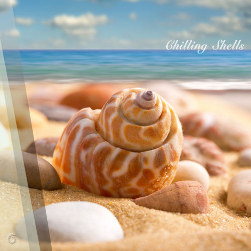 VA - Chilling Shells / Giverny Music