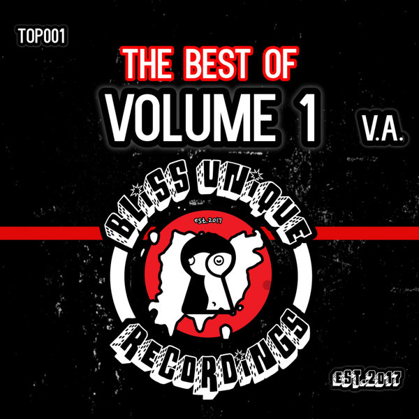 VA - The Best Of, Vol. 1 / Bliss Unique Recordings