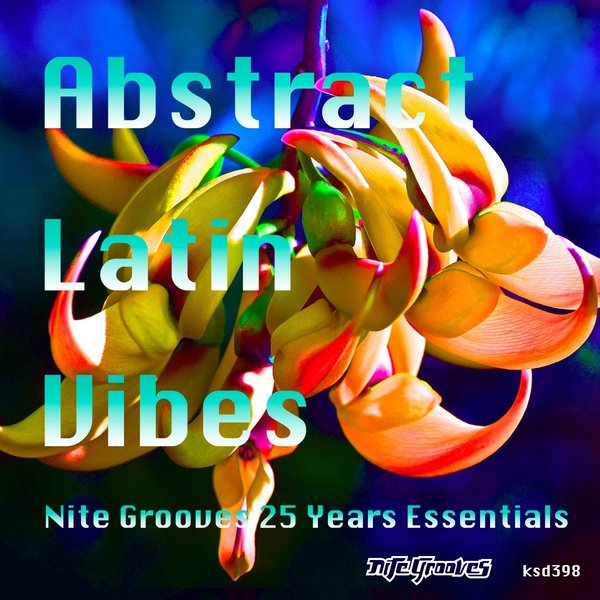VA - Abstract Latin Vibes (Nite Grooves 25 Years Essentials) / Nite Grooves