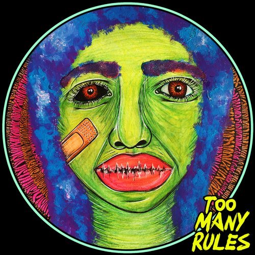 VA - We House / Too Many Rules