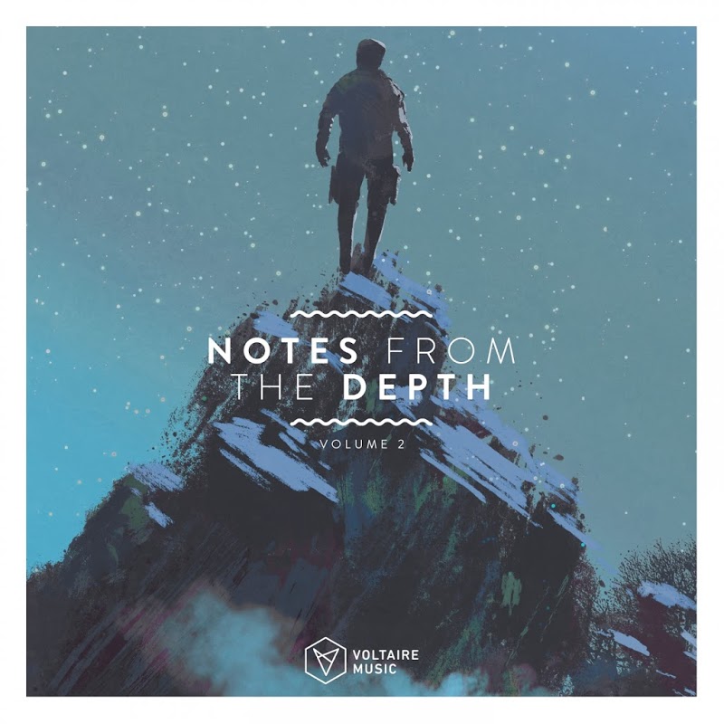 VA - Notes From The Depth, Vol. 2 / Voltaire Music
