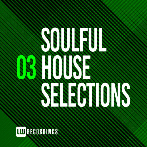 VA - Soulful House Selections, Vol. 03 / LW Recordings