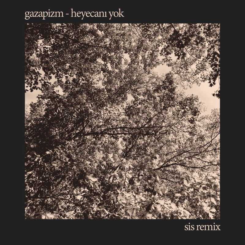 Gazapizm - Heyecanı Yok (SIS Remix) / RKJVK