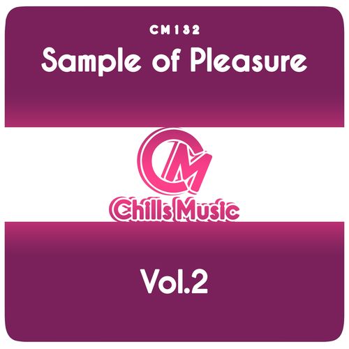 VA - Sample of Pleasure, Vol.2 / Chills Music