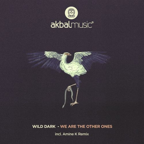 Wild Dark - We Are The Other Ones / Akbal Music