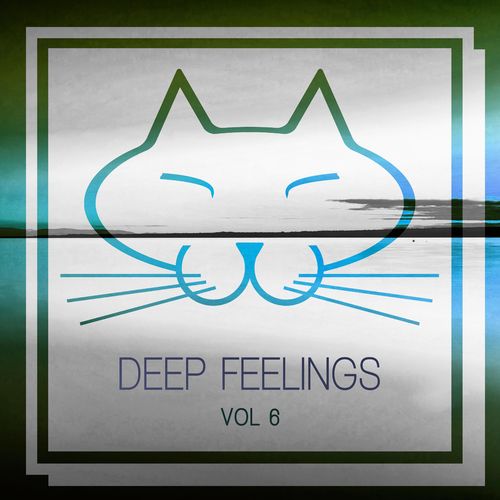VA - Deep Feelings, Vol. 6 / Musingat Lounge