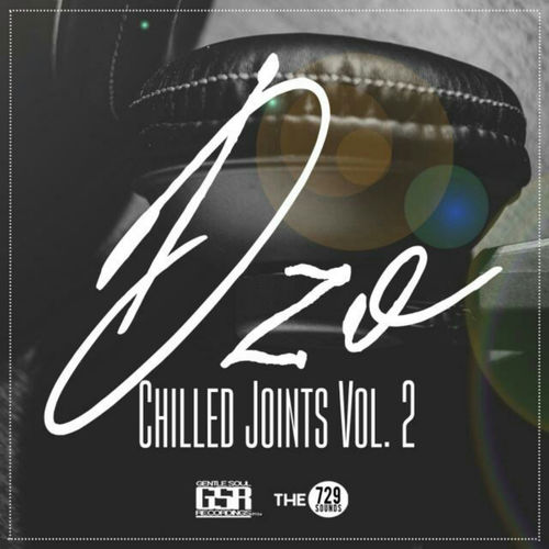 DzO - Chilled Joints Vol.2 / Gentle Soul Records