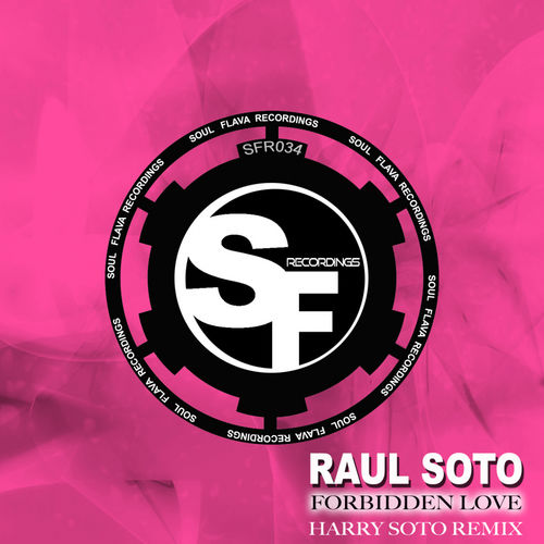 Raul Soto - Forbidden Love (Harry Soto Remix) / Soul Flava Recordings