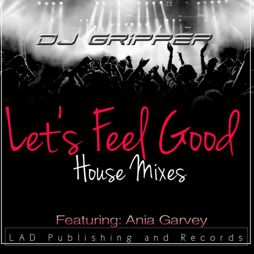 T-Groove - Let's Feel Good House Mixes / LAD Publishing & Records