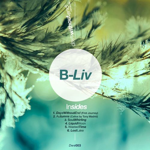 B-Liv - Insides / Days Without End