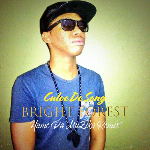 Culoe De Song - Bright Forest (Hume Da Muzika Remix) / CD RUN