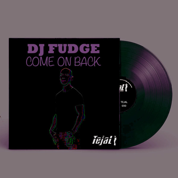 DJ Fudge - Come On Back / Tejal