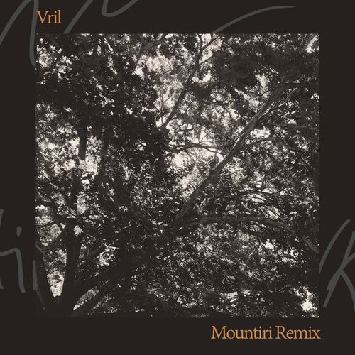 Rey & Kjavik - Mountiri Remix I / RKJVK