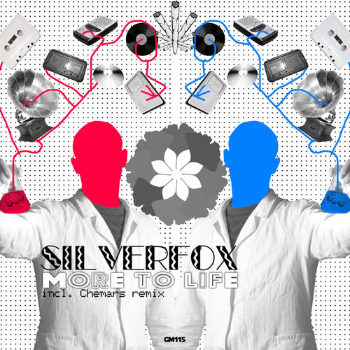 Silverfox - More To Life / Ginkgo Music